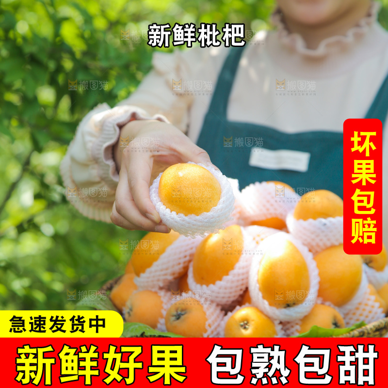 手里端着一篮大枇杷