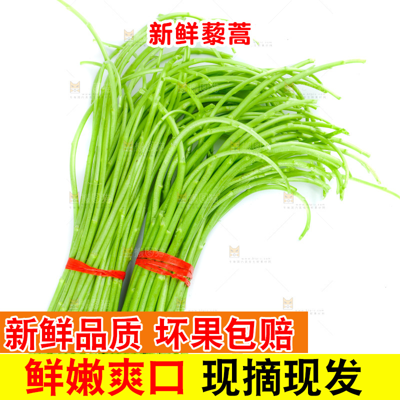 白底上放着藜蒿