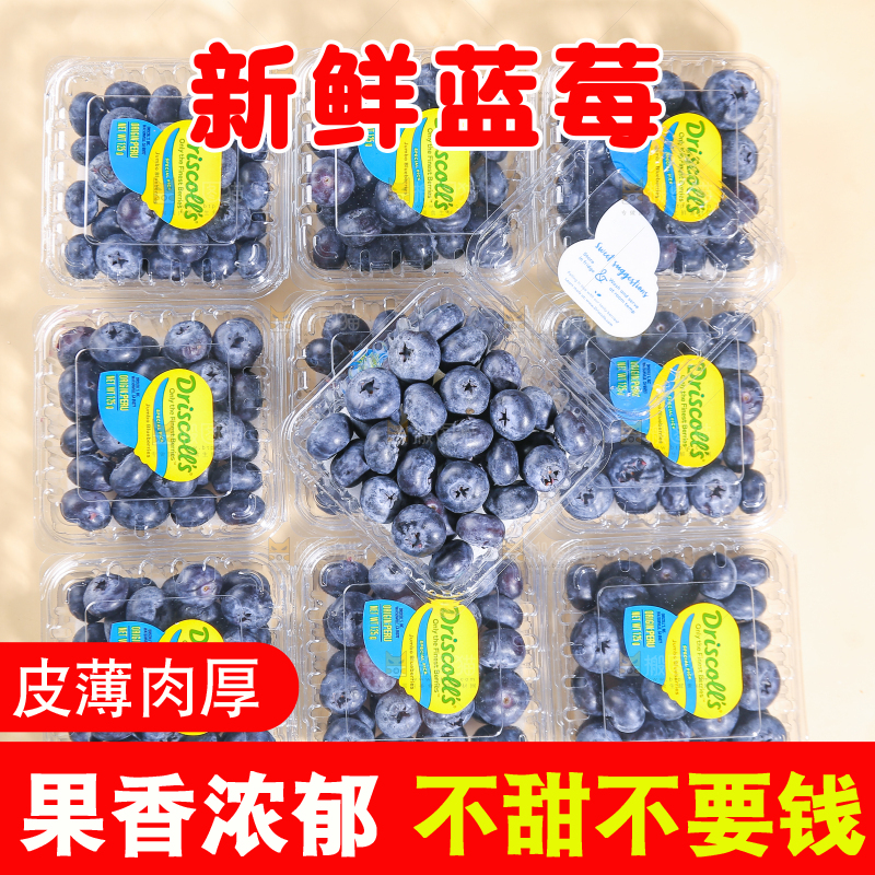 浅底上的新鲜蓝莓