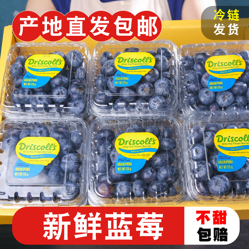 黑底上摆着的新鲜蓝莓