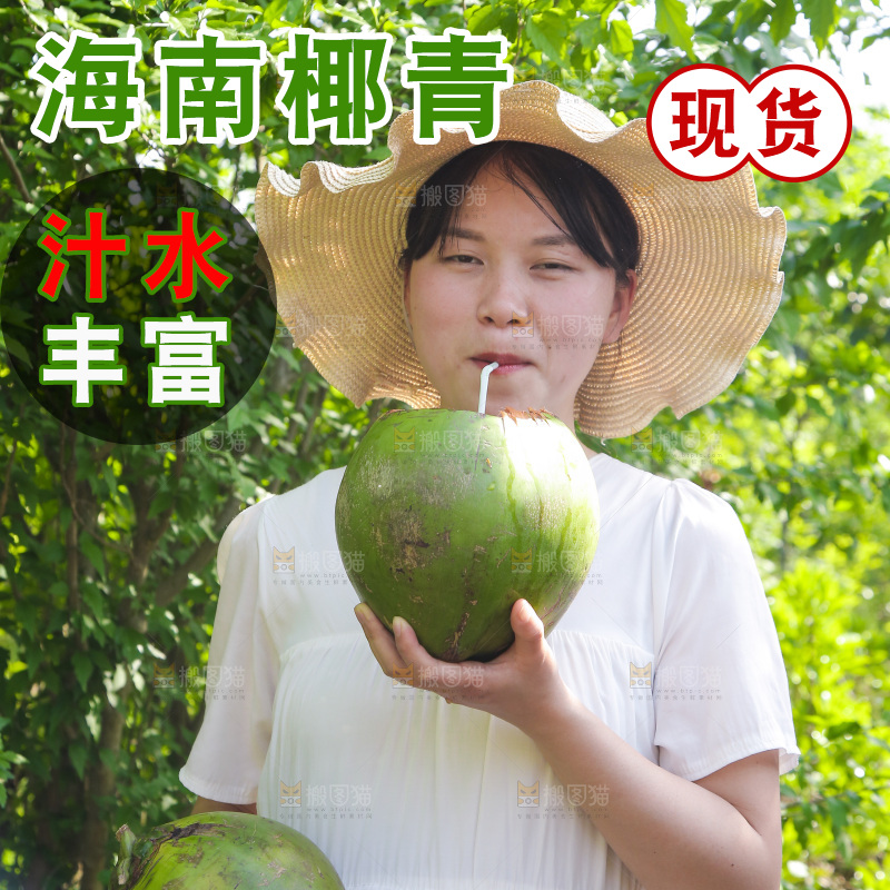 女孩喝着椰子汁