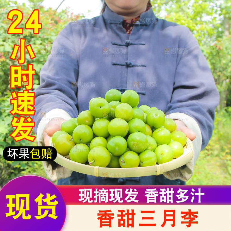 手里端着一篮三月李