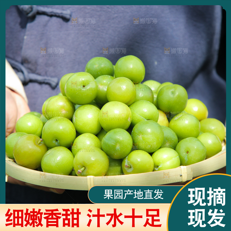 手里端着一篮三月李