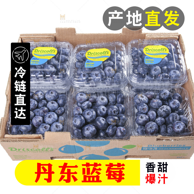 白底上放着的新鲜蓝莓