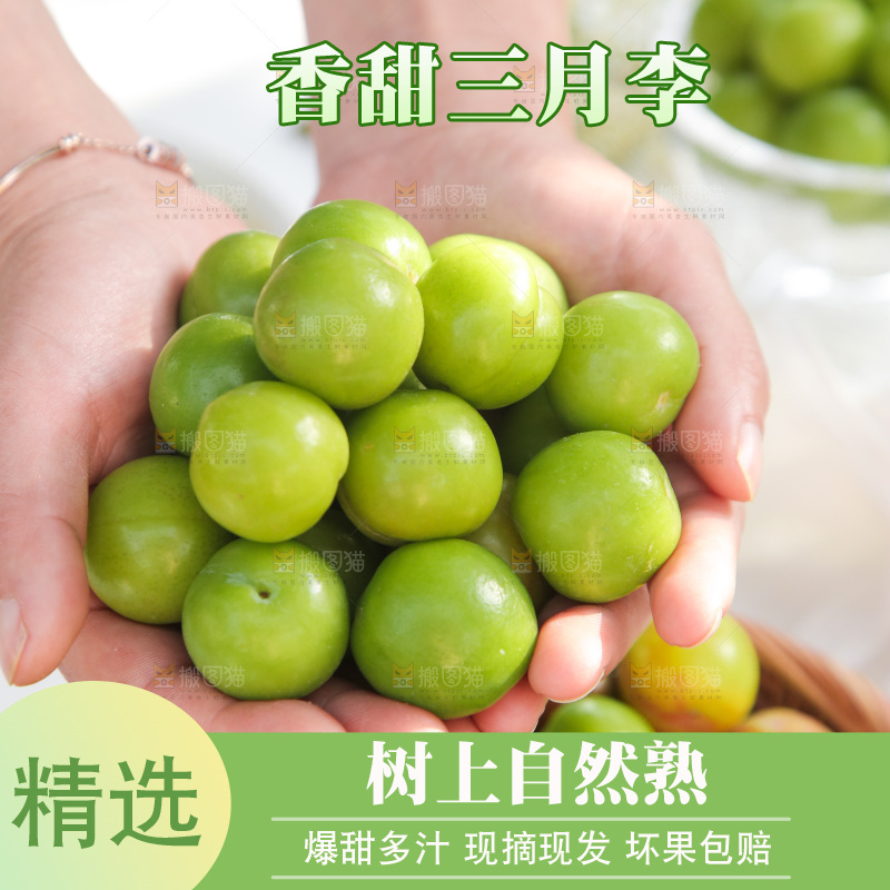 手里捧着酸脆李