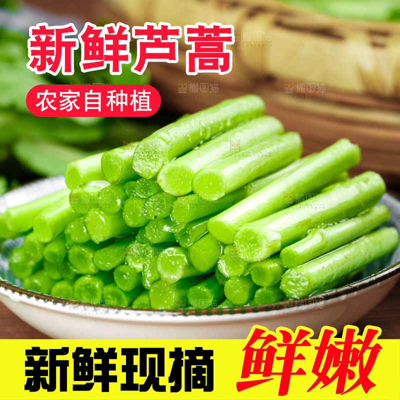 木底上的江西藜蒿