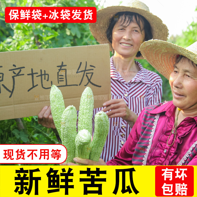 手里拿着新鲜苦瓜