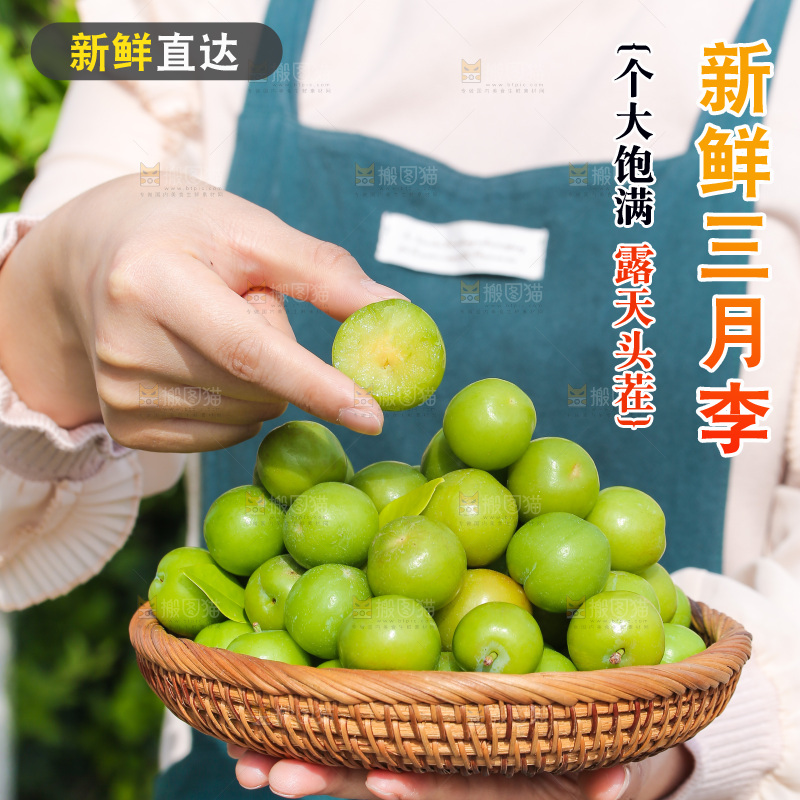 手里端着一篮新鲜三月李