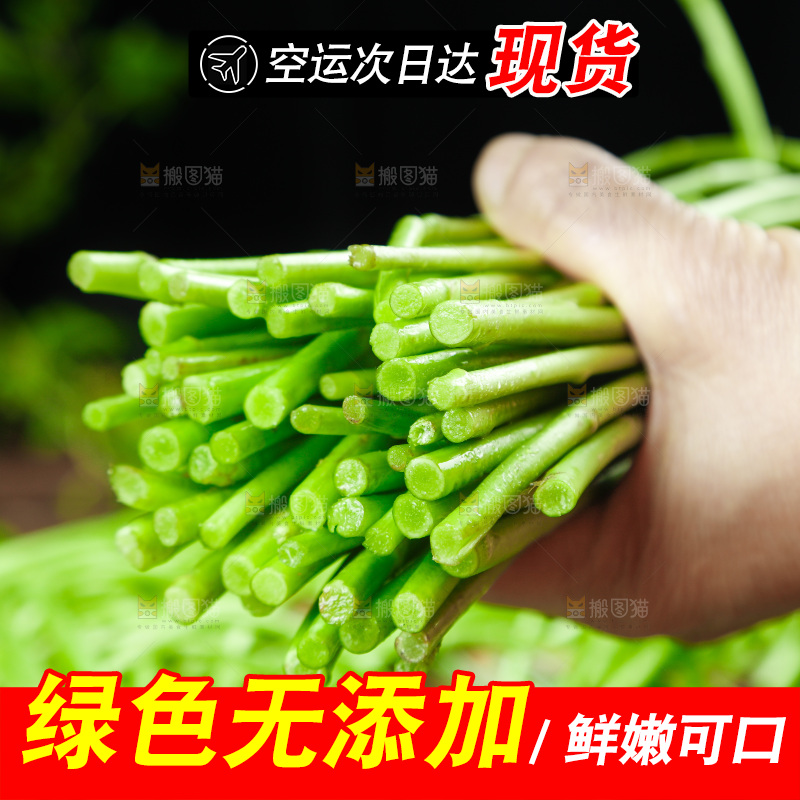 木底上的江西藜蒿