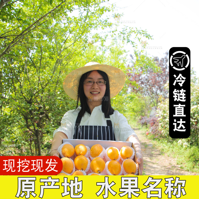 女孩手里端着一箱米易枇杷