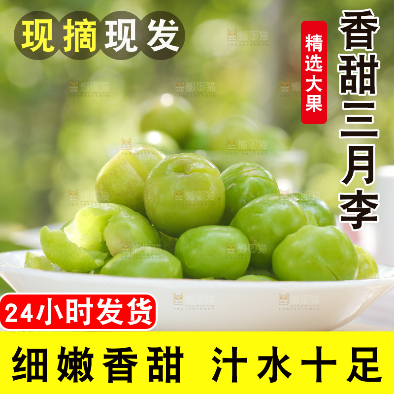 木板上放着一盘青脆李