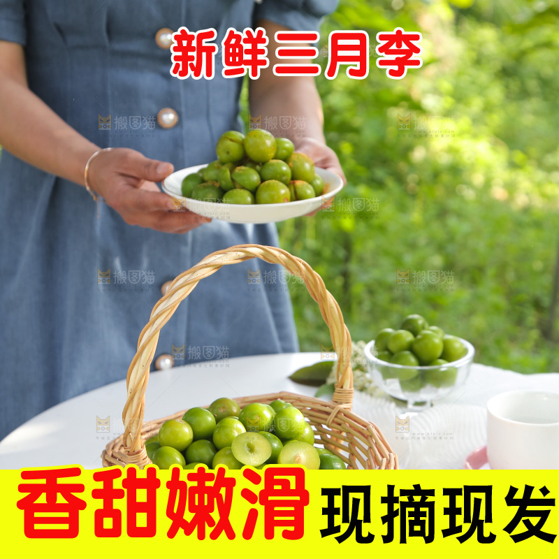 桌子上放着一篮钱排三月李