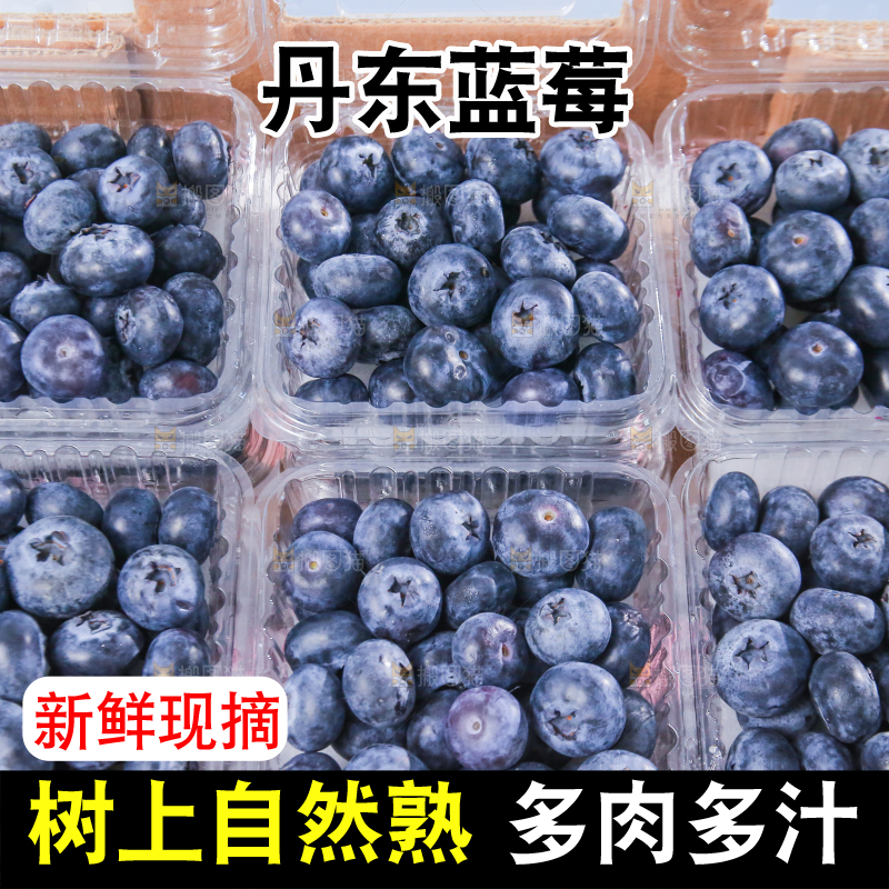 浅底上的新鲜蓝莓