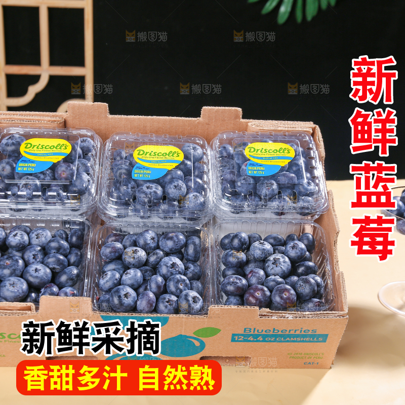 浅底上的新鲜蓝莓