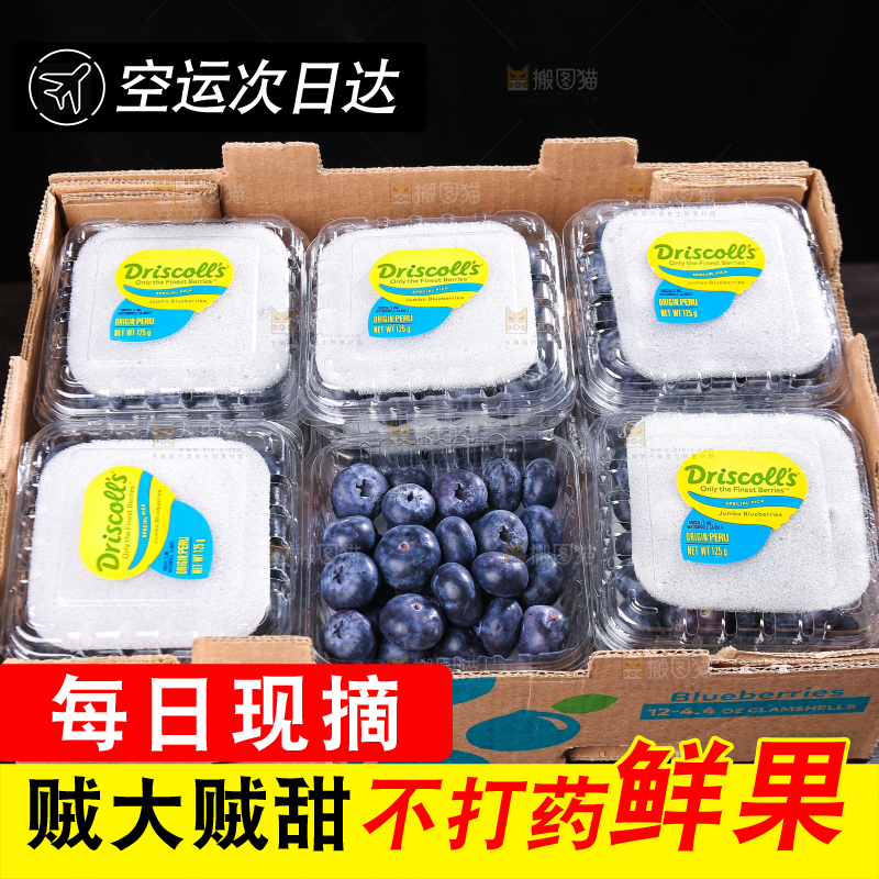 黑底上摆着的新鲜蓝莓