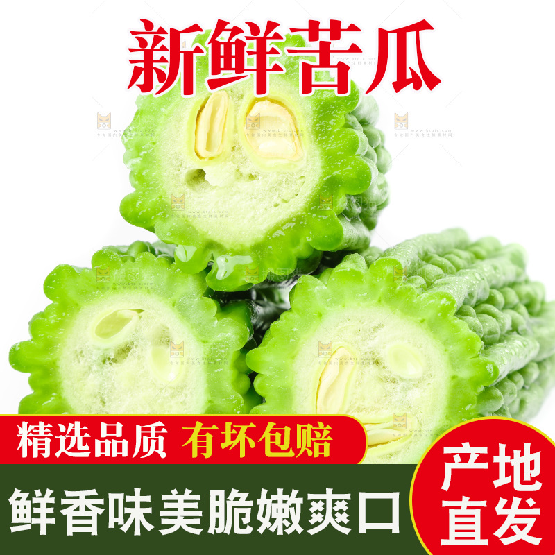 白底上的苦瓜