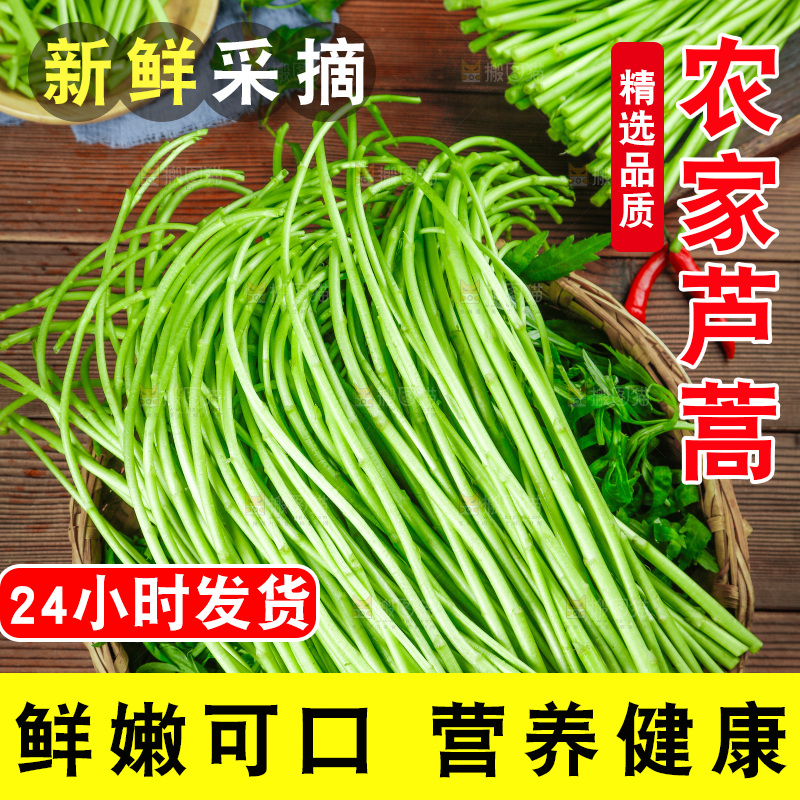 木底上的江西藜蒿
