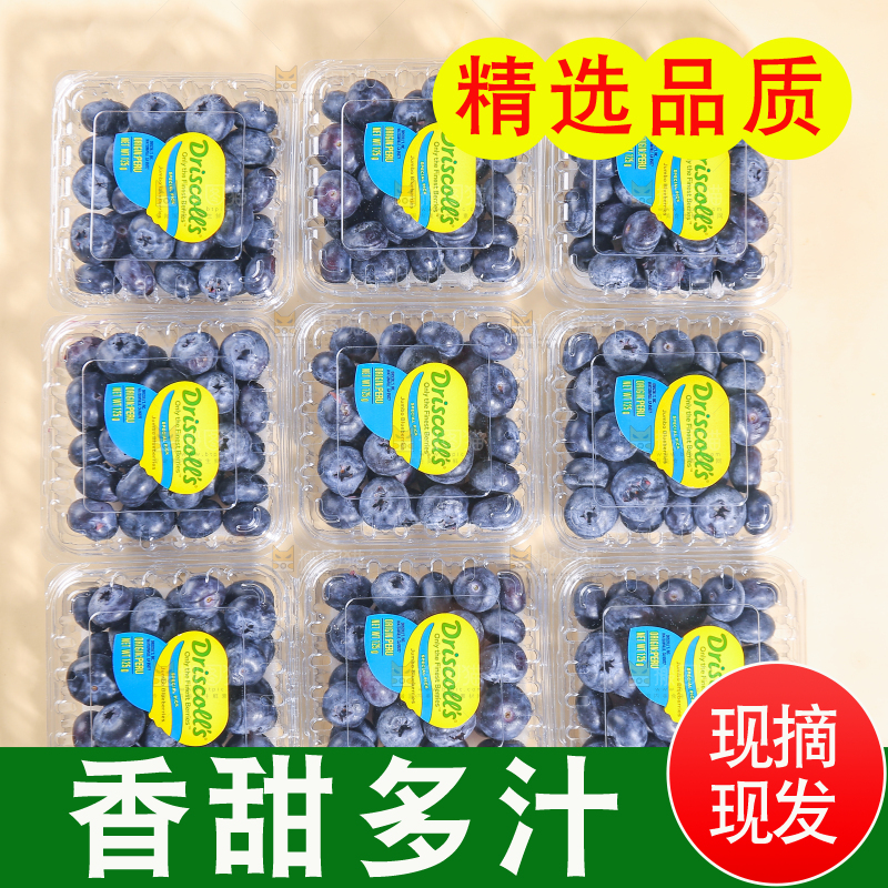 浅底上的新鲜蓝莓