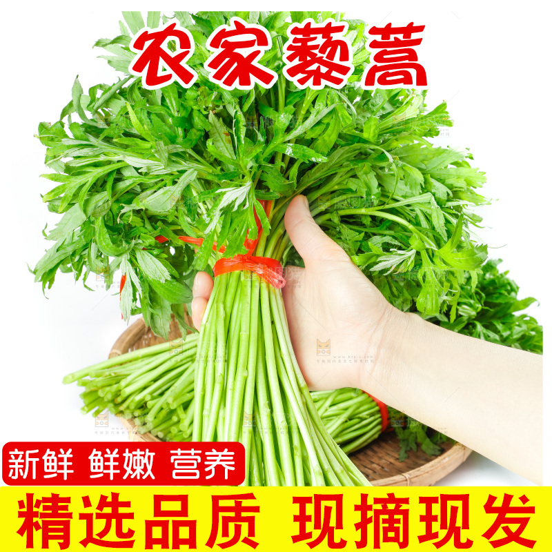 白底上放着藜蒿