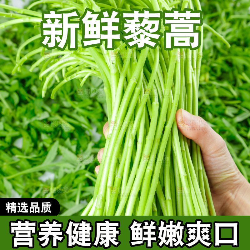 白底上放着藜蒿