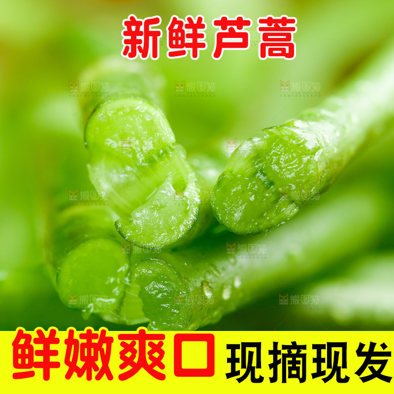 木底上的江西藜蒿