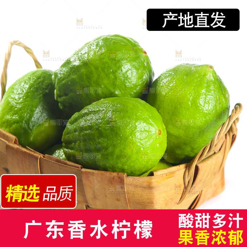 白底上的广东香水柠檬