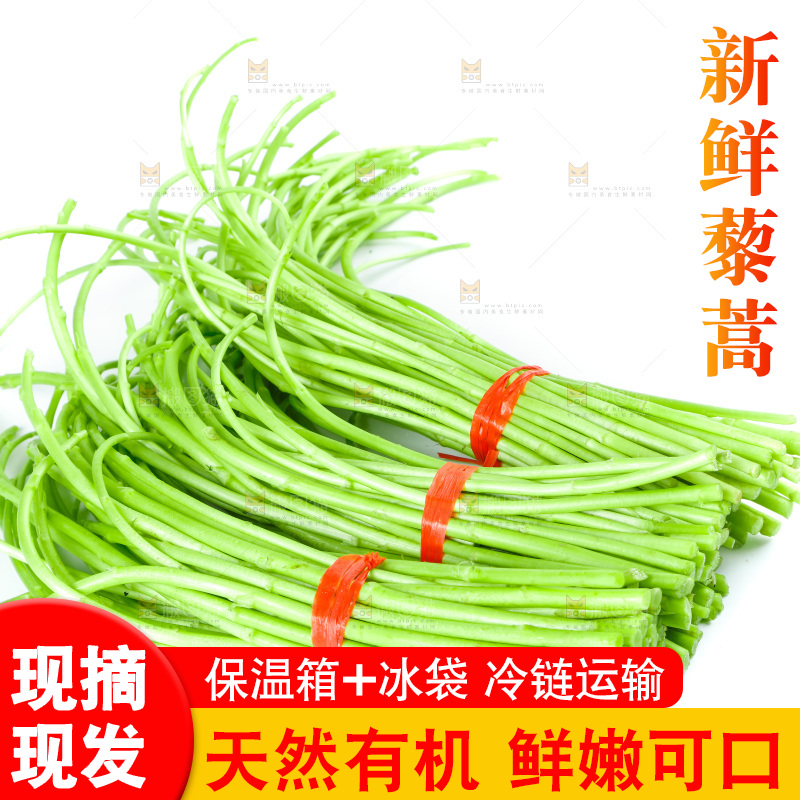 白底上放着藜蒿