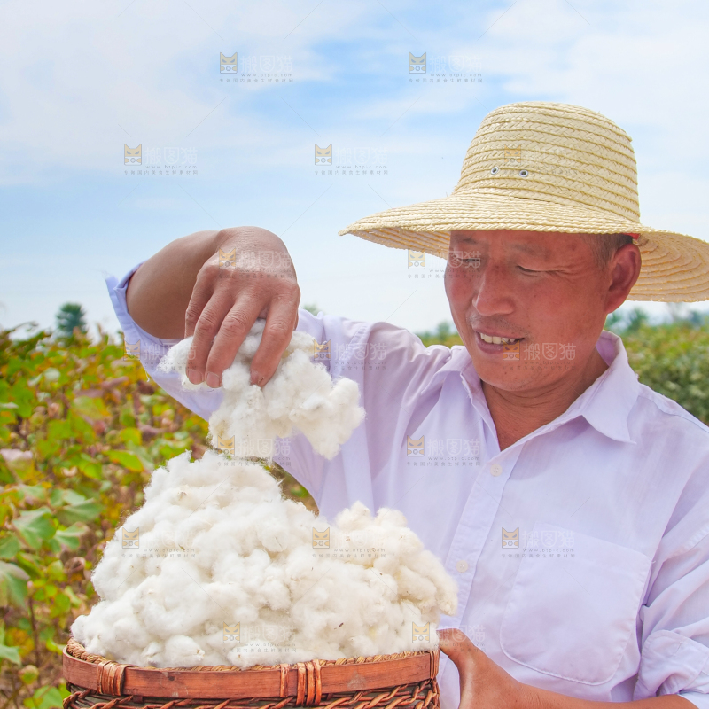 手里拿着棉花