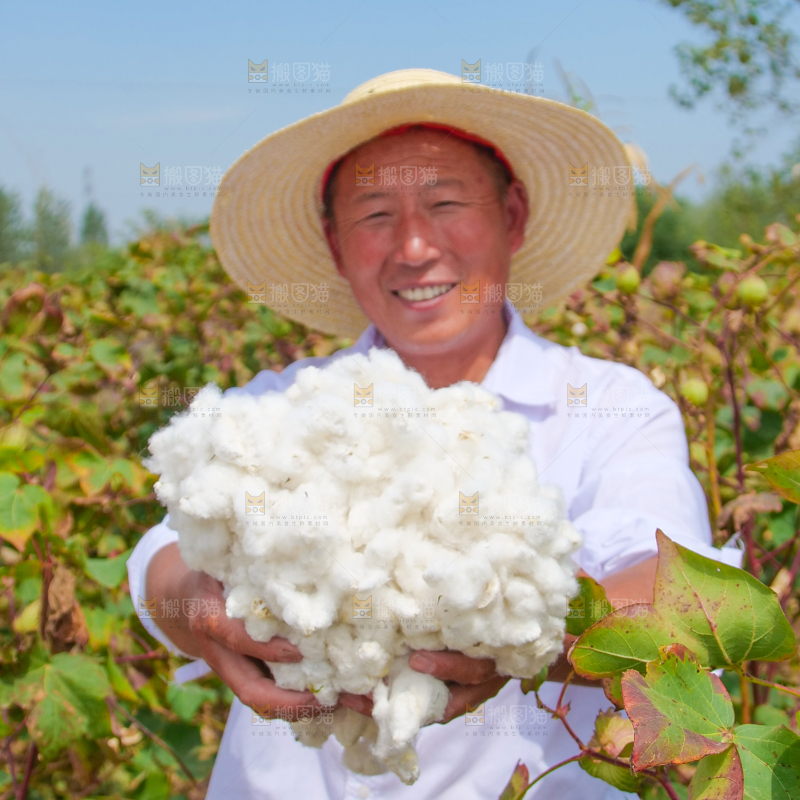 手里拿着棉花
