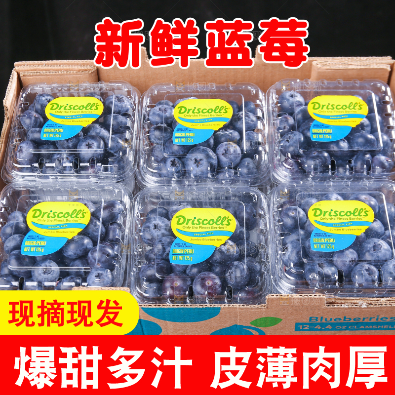 黑底上摆着的新鲜蓝莓