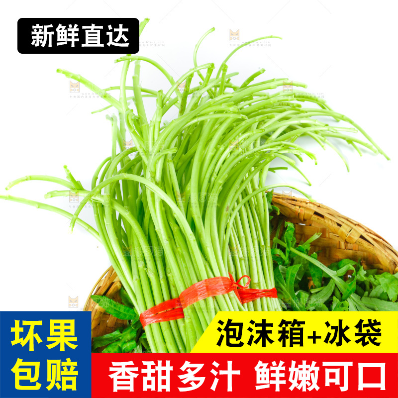 白底上放着藜蒿