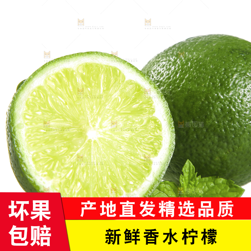 白底上的无籽香水柠檬