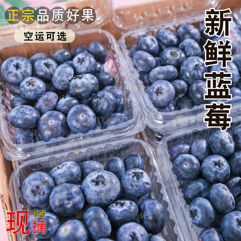 浅底上的新鲜蓝莓