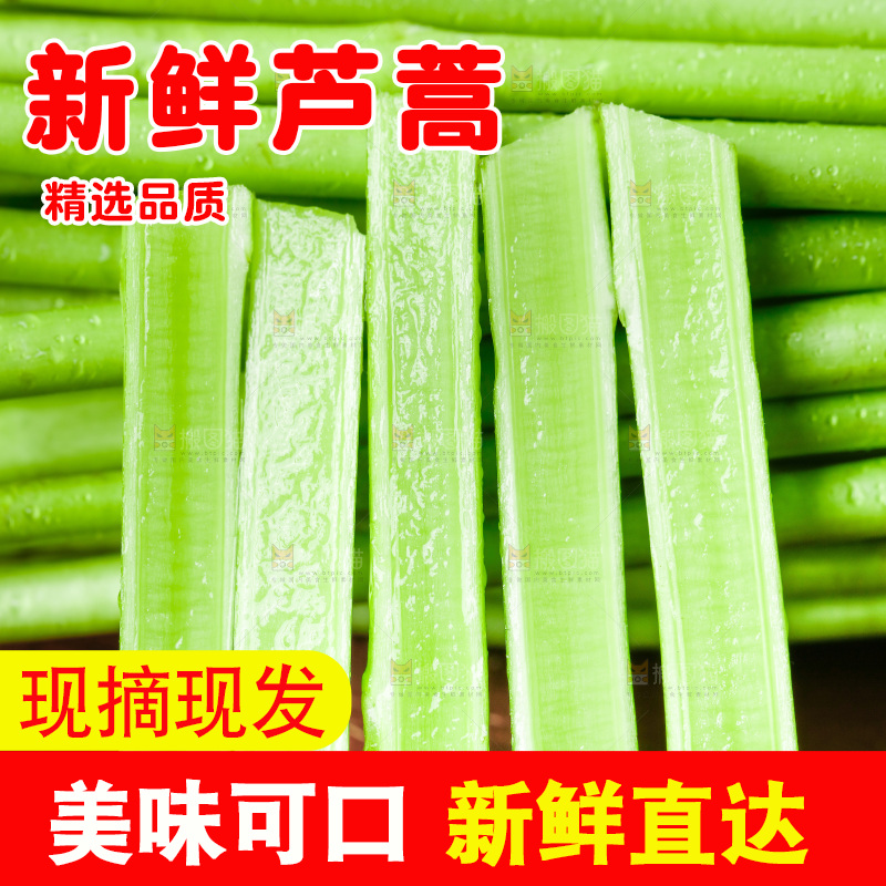 木底上的江西藜蒿