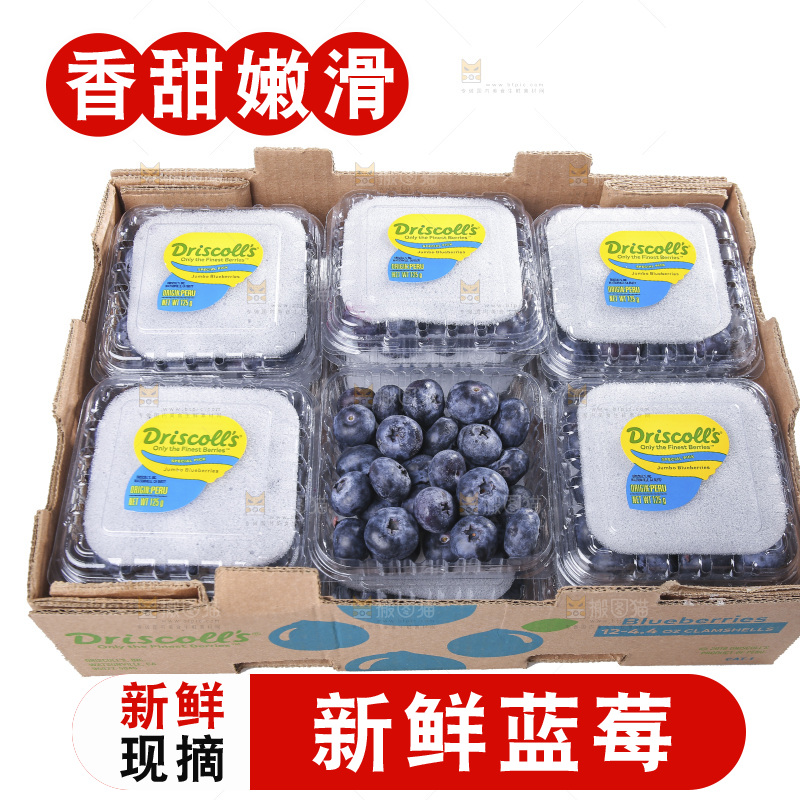 白底上放着的新鲜蓝莓