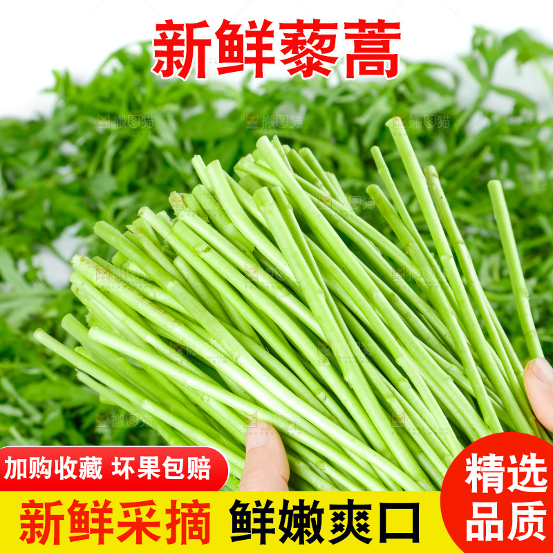 白底上放着藜蒿