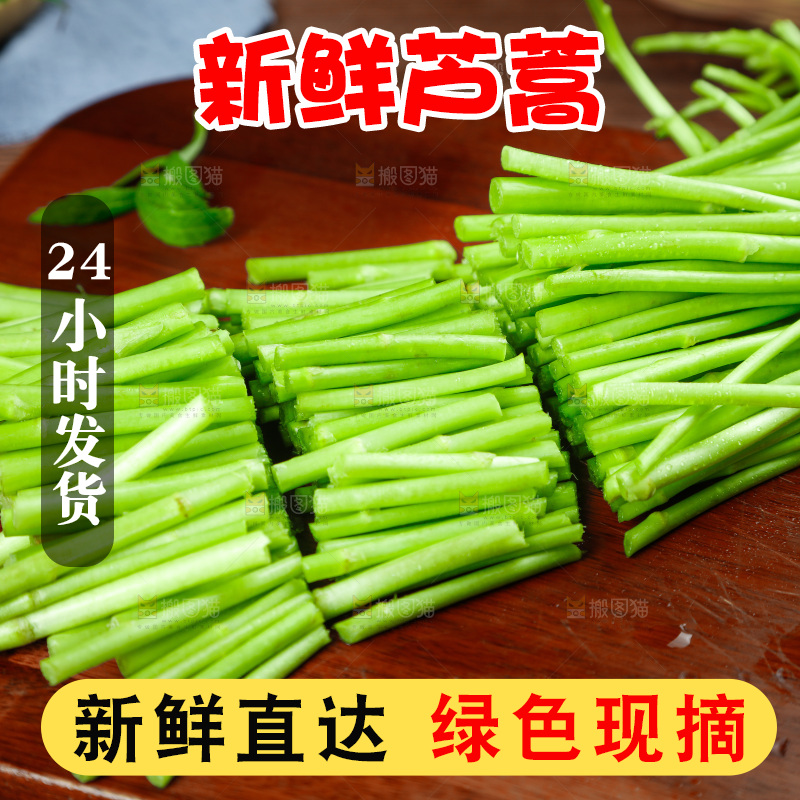 木底上的江西藜蒿