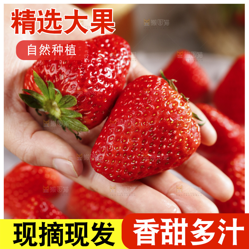 深底上的丹东草莓