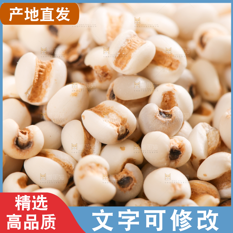 浅底上的薏米仁