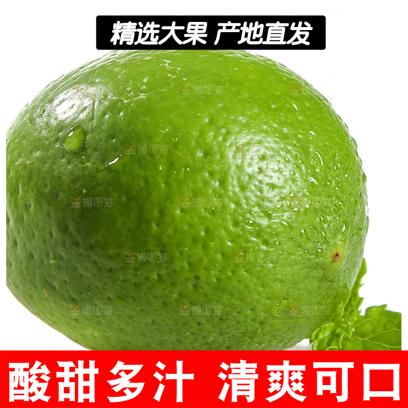 白底上的无籽香水柠檬