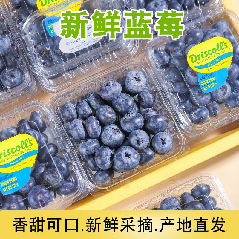 浅底上的新鲜蓝莓