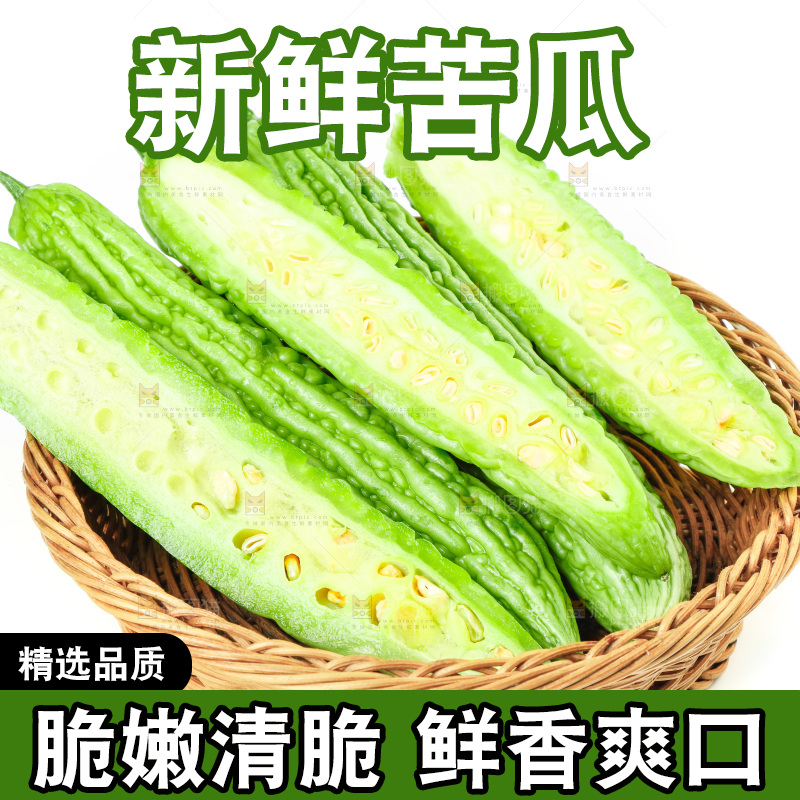 白底上的苦瓜