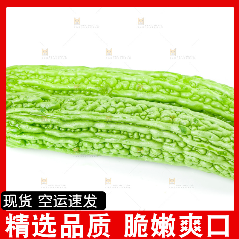 白底上的苦瓜