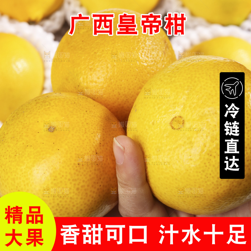 白底上的皇帝柑
