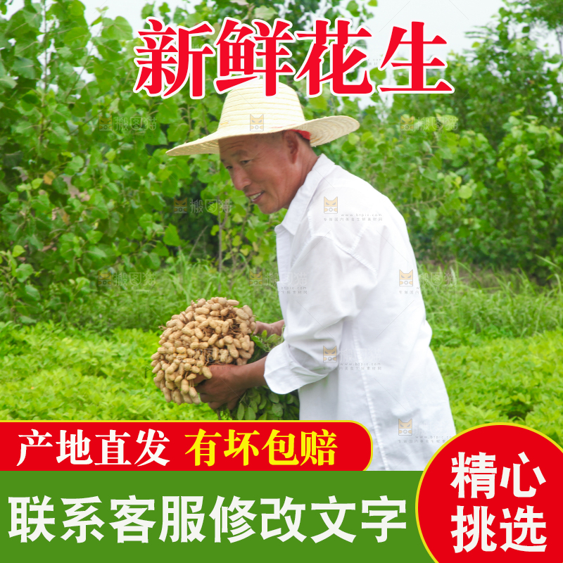 手里拿着现挖花生