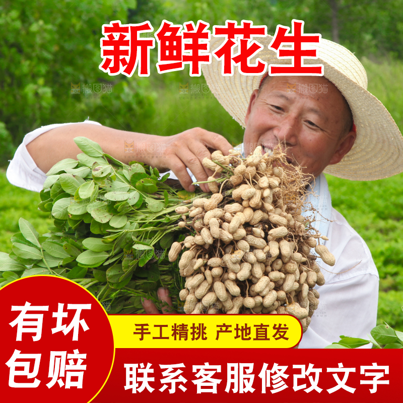 手里拿着现挖花生