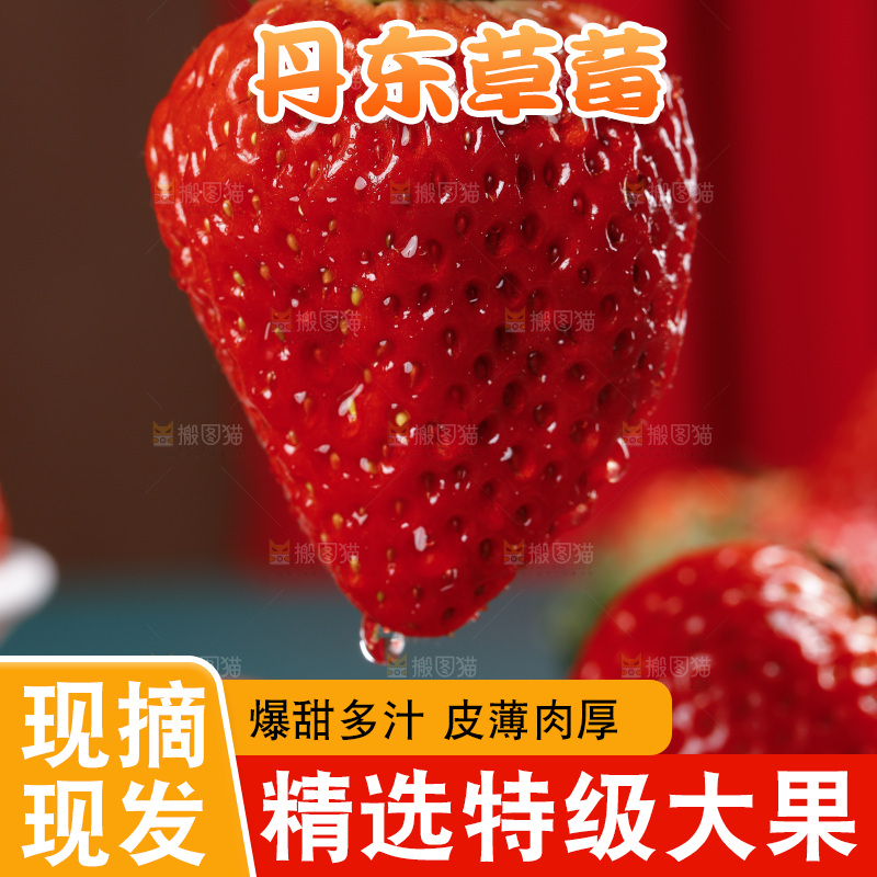 深底上的丹东草莓