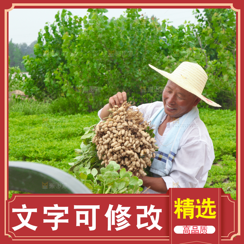 手里拿着现挖花生