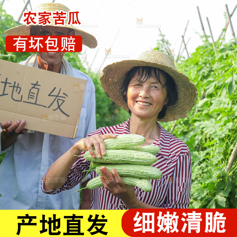 手里拿着新鲜苦瓜