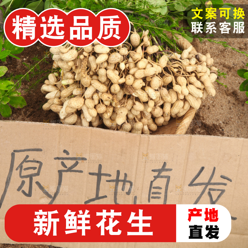 手里拿着现挖花生